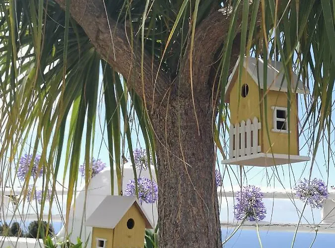 Casa Adayeim 1 Feriehus